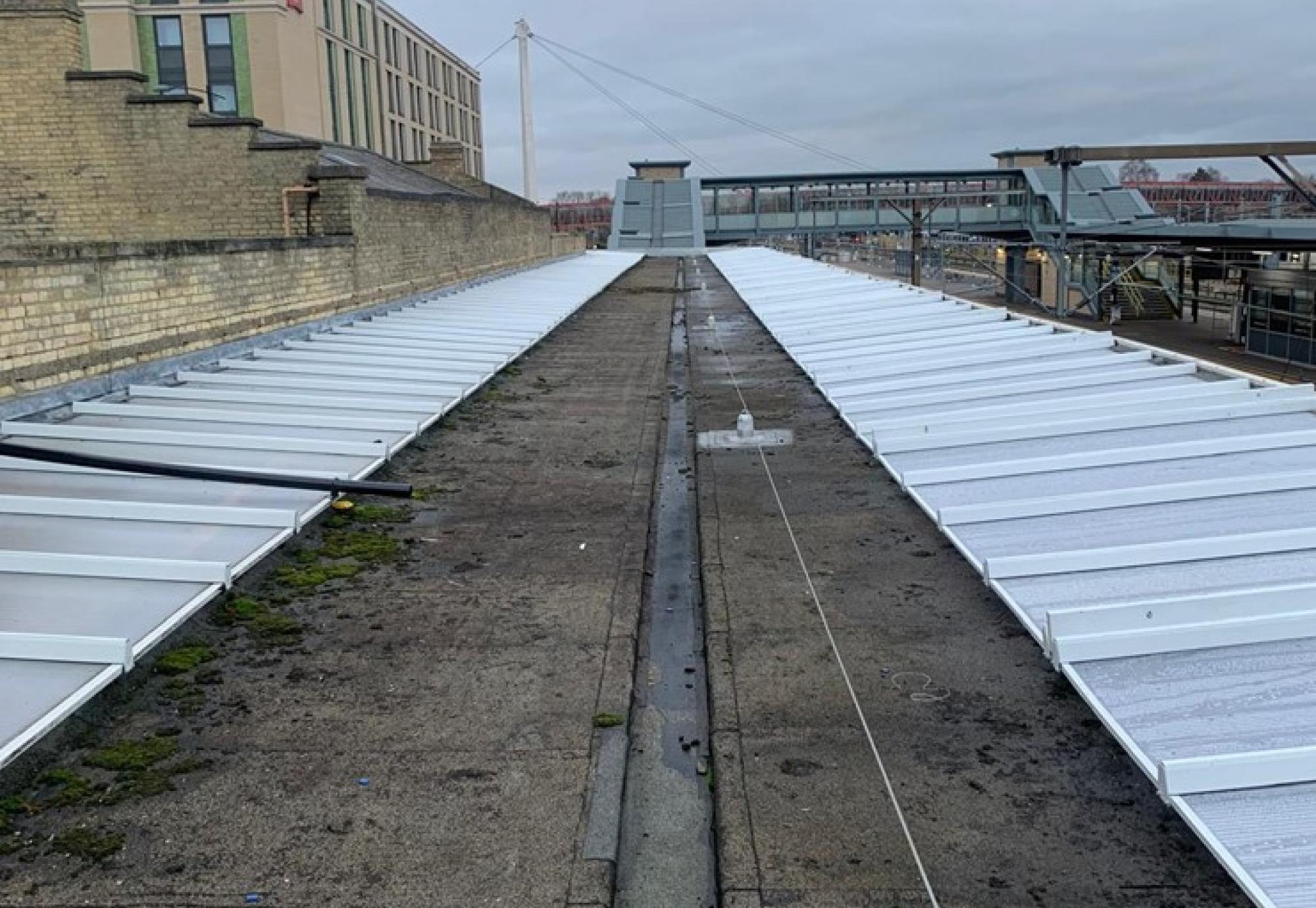 Canopies in Cambridge