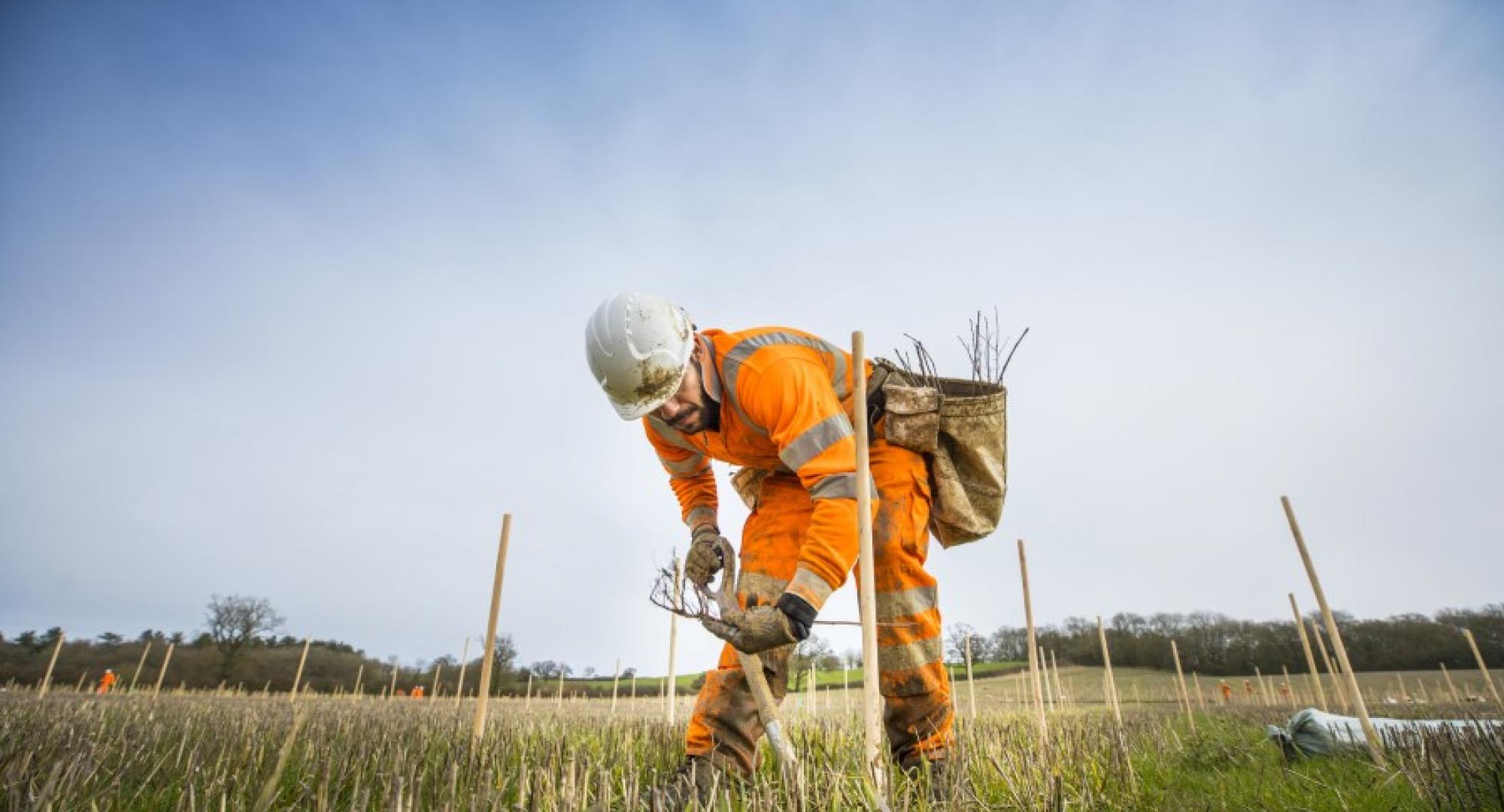 HS2 launches innovative approach to tackling biodiversity loss  