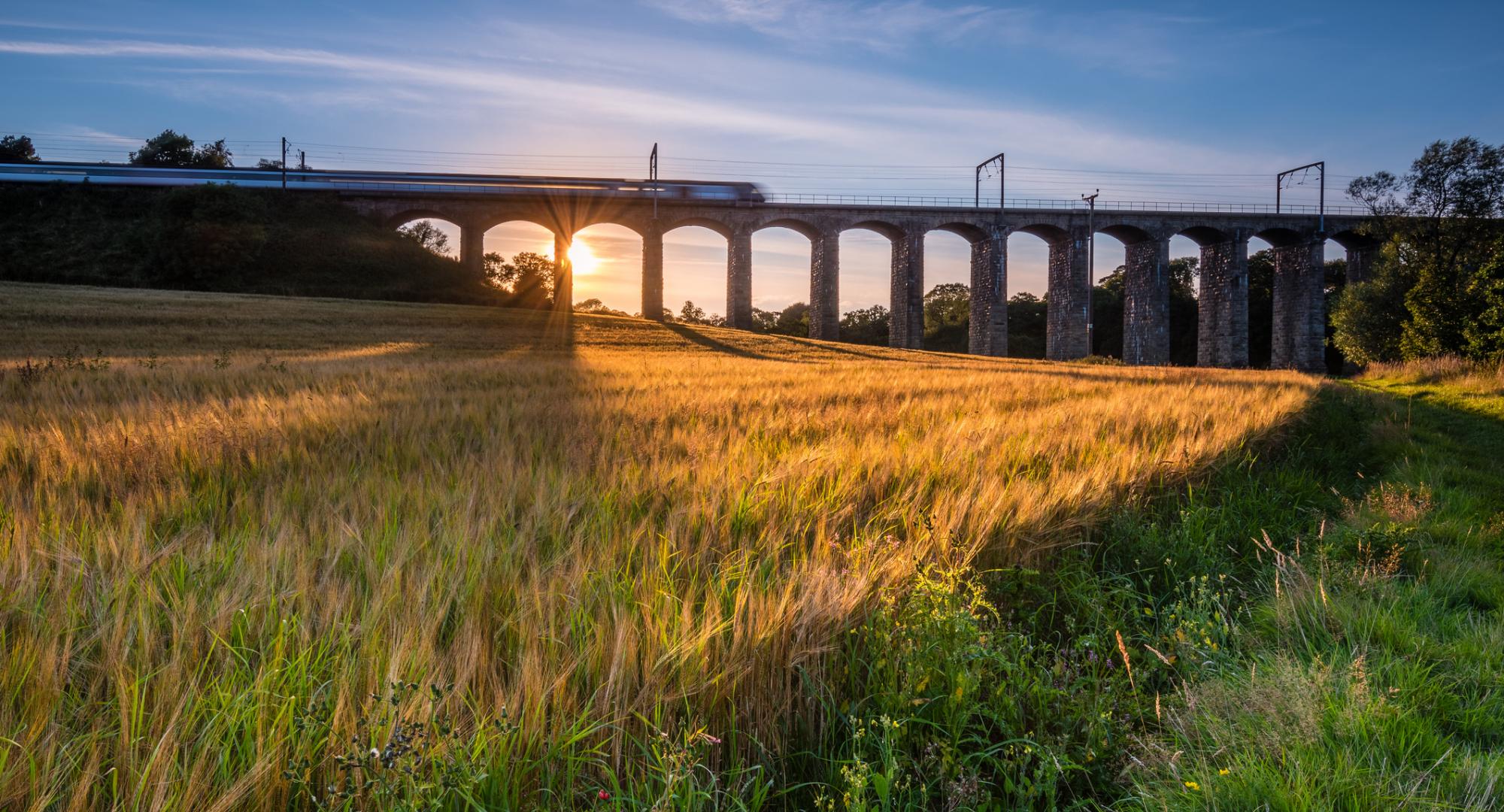 Train travelling over a viaduct