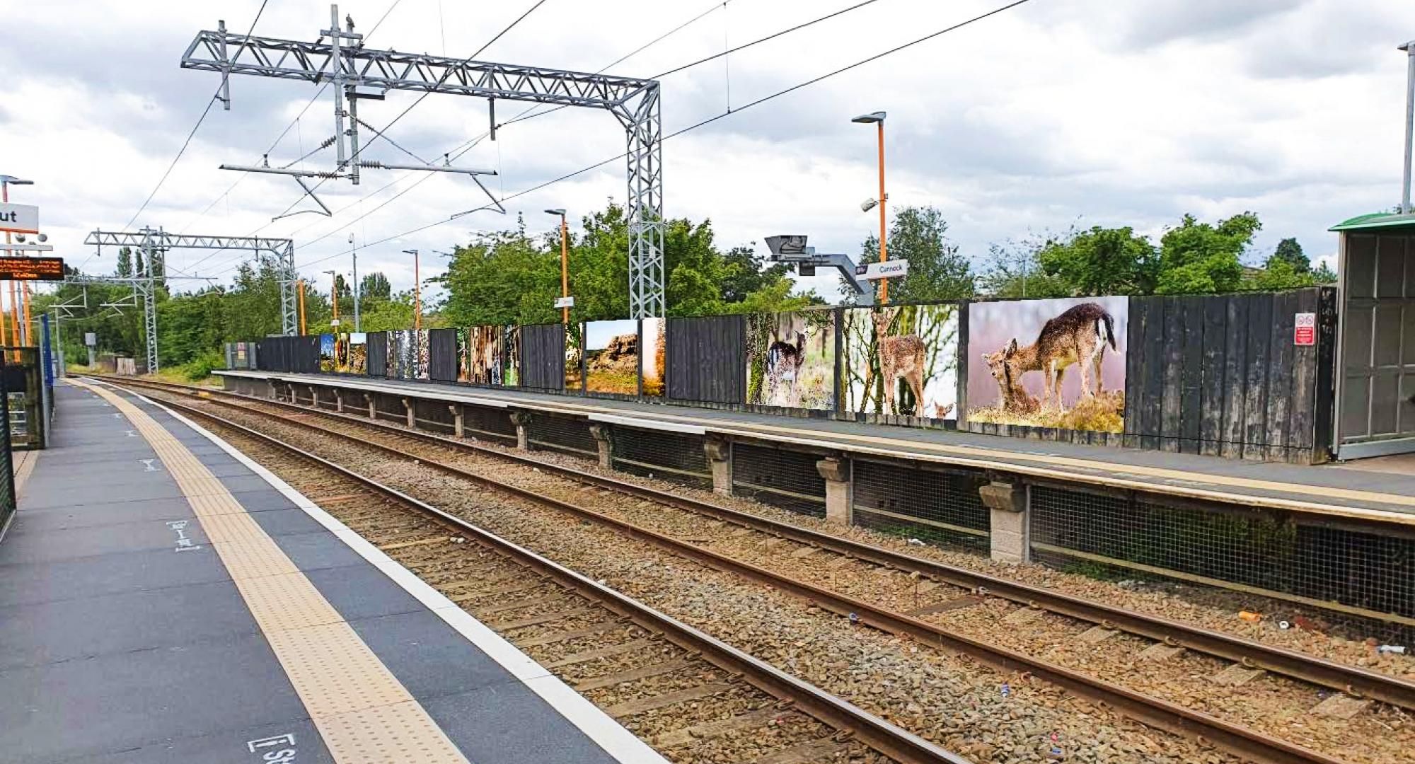 Cannock station