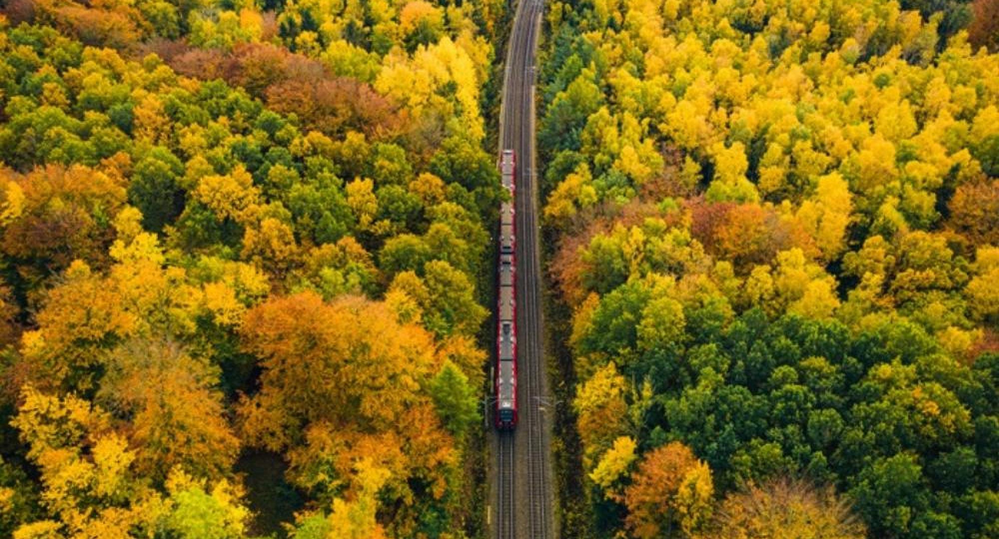 Train travels down tracks