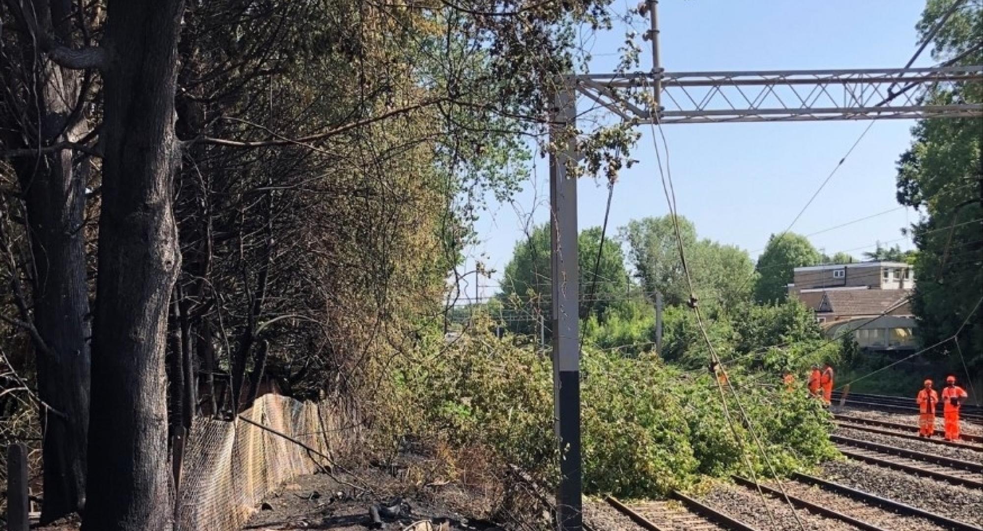 Tree blocking the West Coast main line after fire in Harrow, via Network Rail 