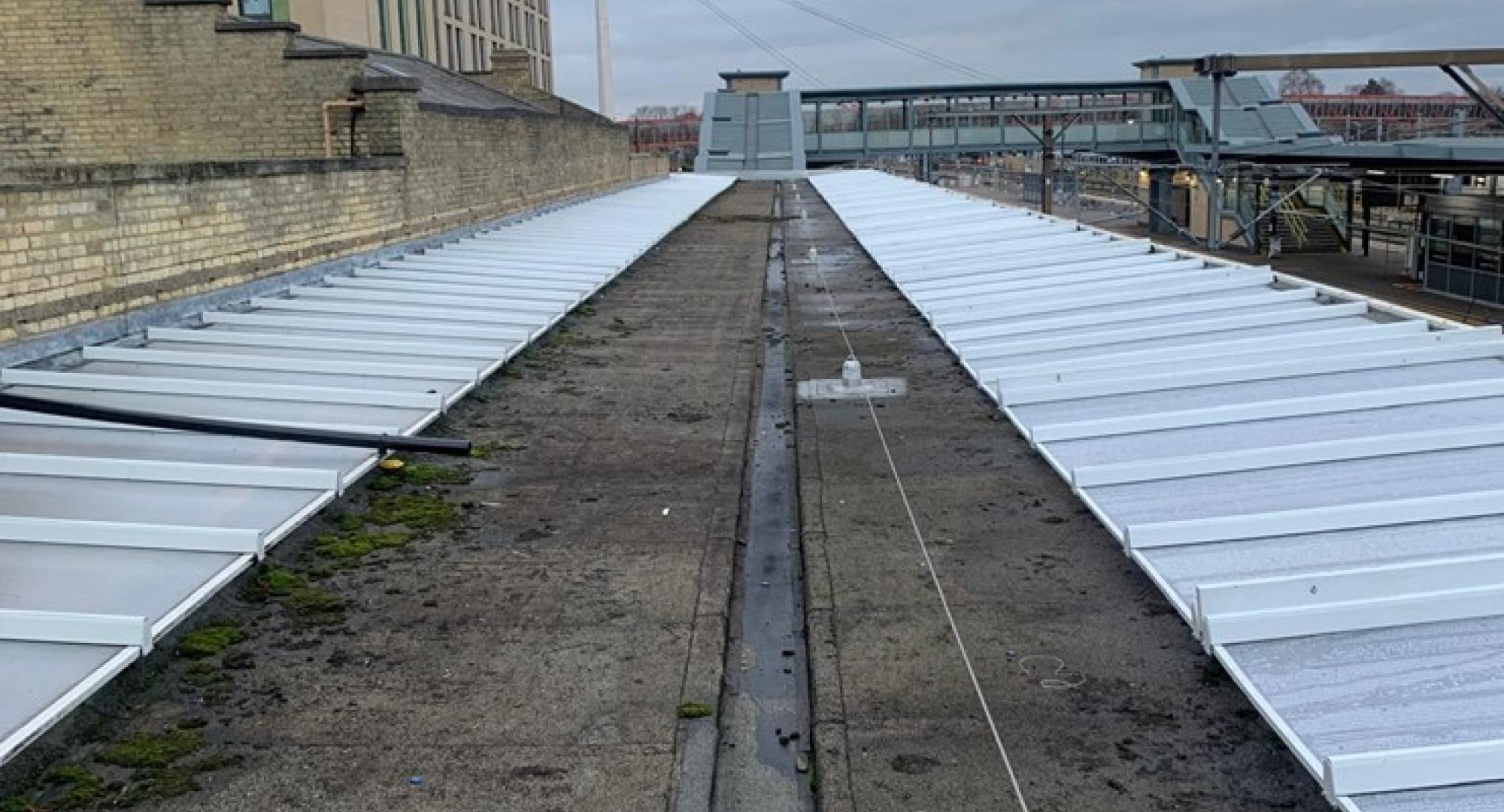 Canopies in Cambridge