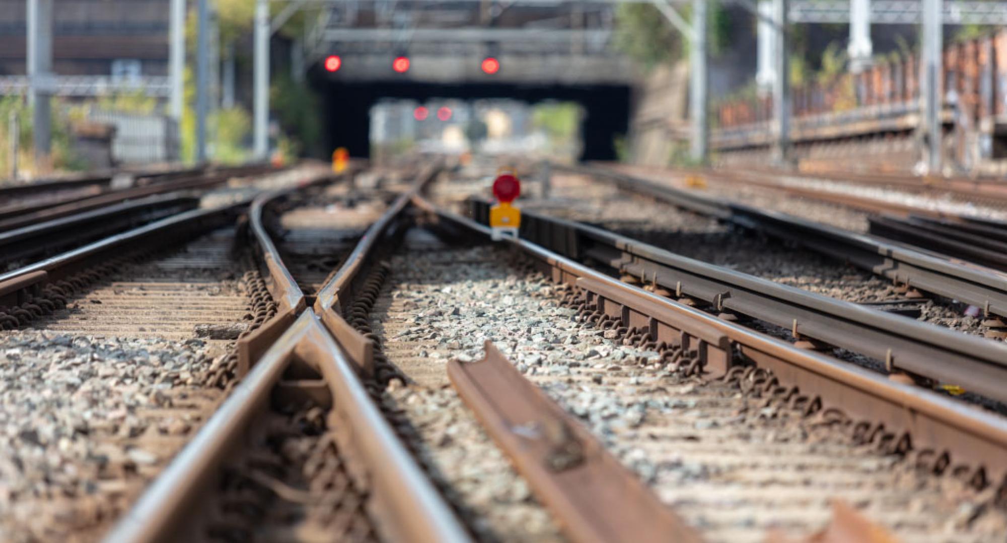 WCML Decision Cover Image