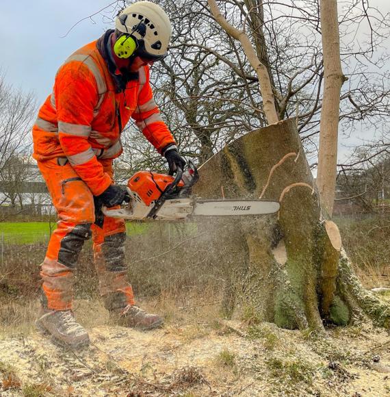 Network Rail worker felling tree