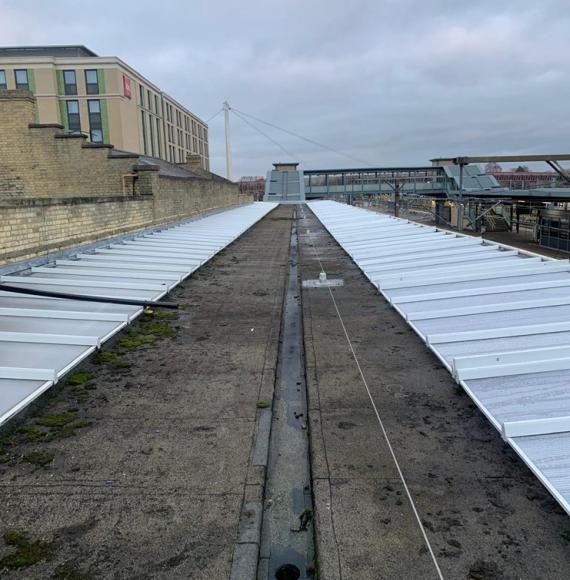 Canopies in Cambridge